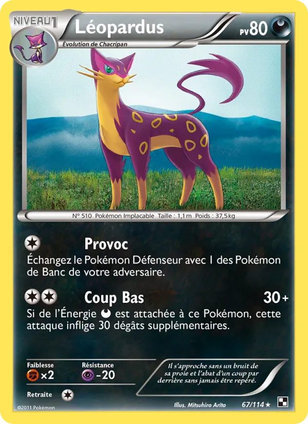 Léopardus
