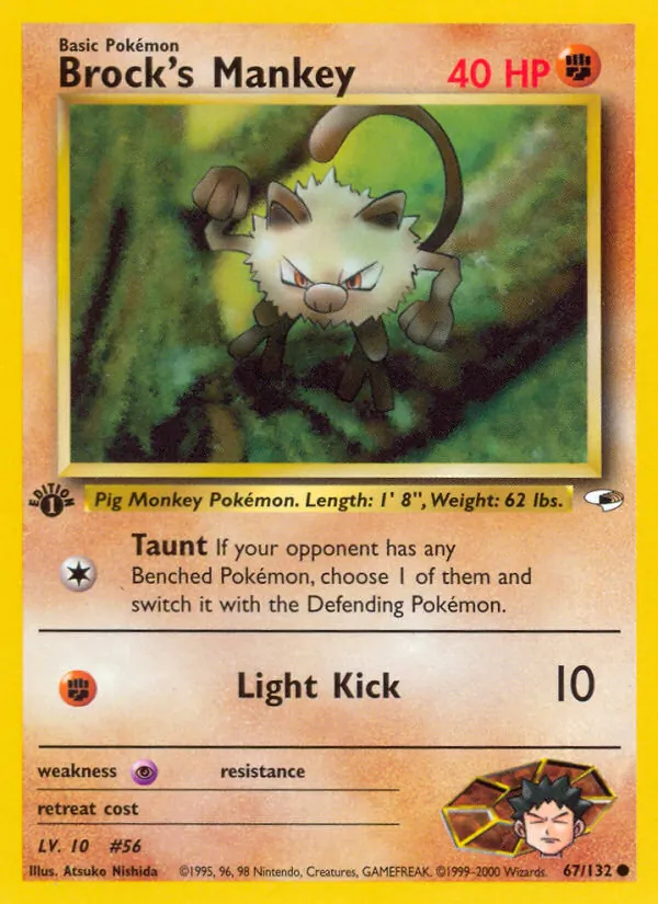 Brock&rsquo;s Mankey
