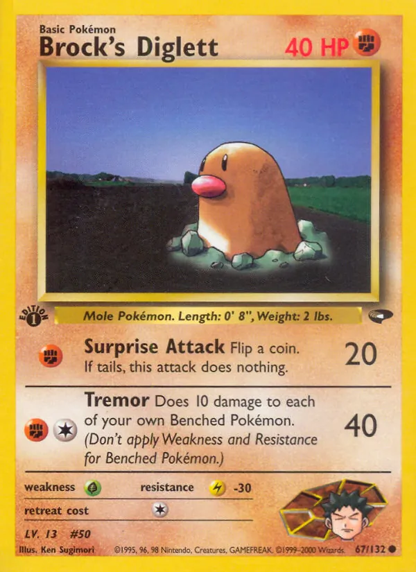 Brock&rsquo;s Diglett
