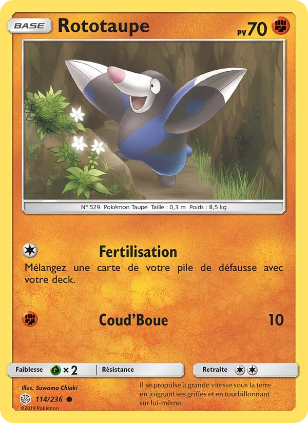 Rototaupe
